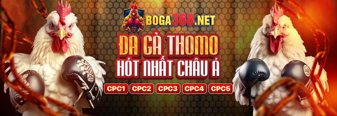 Giao diện đặt cược 98win98